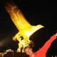 ALEKSANDR, 57 (2 ����, 0 �����)