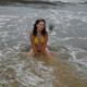 Emesuella, 41
