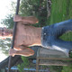 max, 39