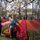 SVETA, 74
