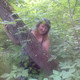 NATALI, 43 (1 ����, 0 �����)
