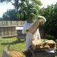 ������, 31