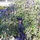�������, 39