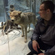 �������, 38