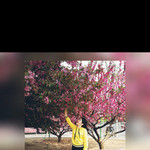 Asya, 33 (1 ����, 0 �����)