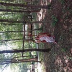�������, 45